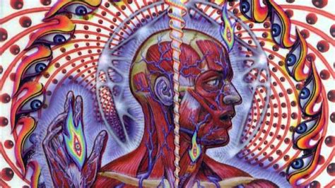 Tool Lateralus Wallpapers - Top Free Tool Lateralus Backgrounds ...