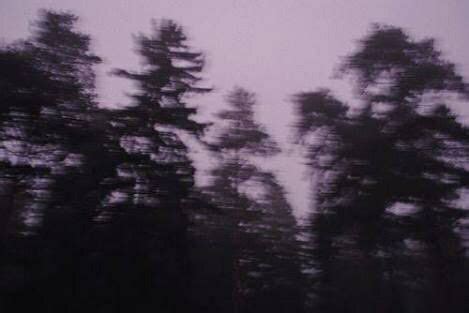 . #forest | Purple aesthetic, Dark aesthetic, Aesthetic