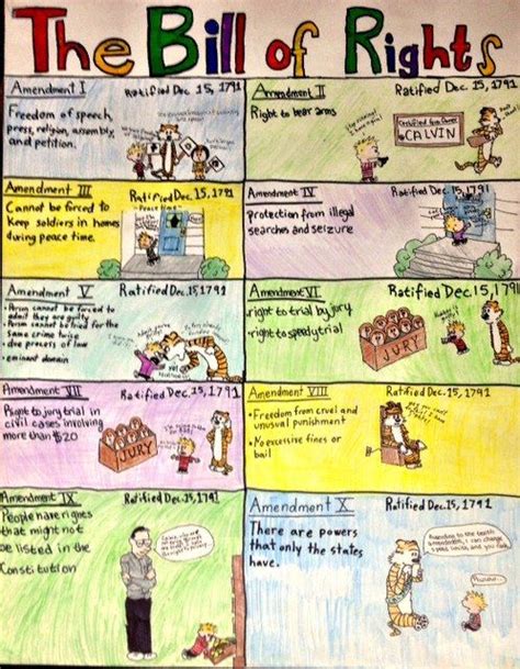 Project: The Bill of Rights (digital option included) | Social studies ...