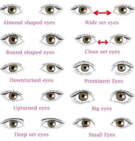 Different Types of Eye Shapes: Which One you have? | Types of eye shapes, Different types of ...