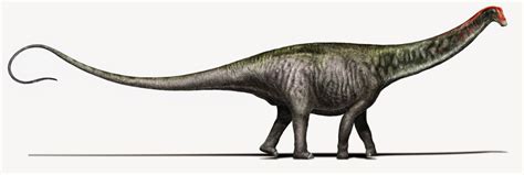 Brontosaurus did exist | Science Media Centre of Canada