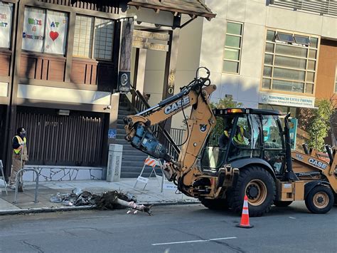 New Cherry Blossoms Coming to Japantown