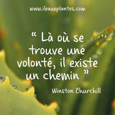 Citation Pensée Positive Du Jour | freeCitation