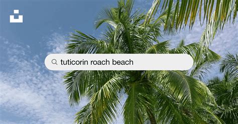 Tuticorin Roach Beach Pictures | Download Free Images on Unsplash