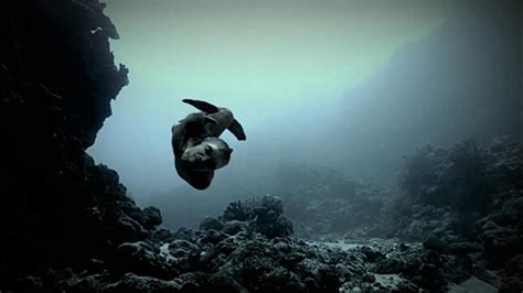 Are Mermaids Real? Animal Planet Documentary Mermaids: The New Evidence - The Rebel Chick