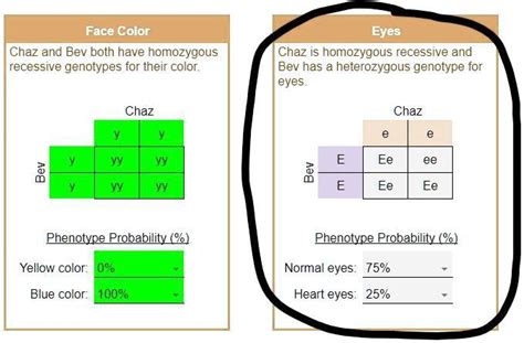 Genotype Vs Phenotype Eyes