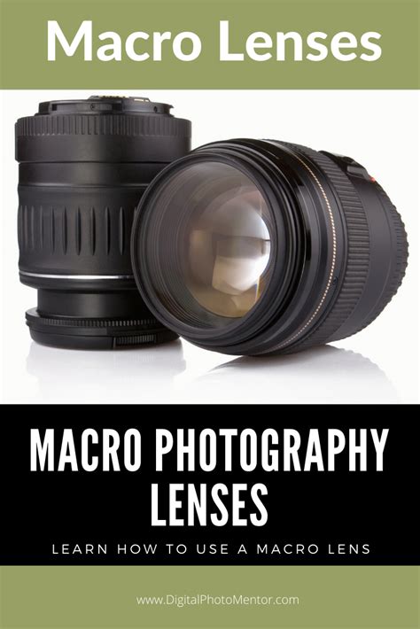 Macro Photography - How to Use a Macro Lens | Digital Photo Mentor