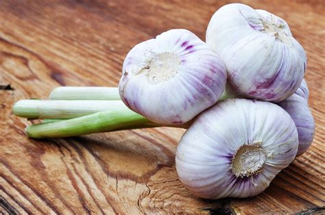 Garlic and Garlic Cloves | CookingHacks.com