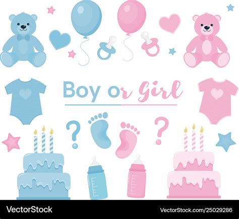 Gender reveal clipart blue and pink colors Vector Image