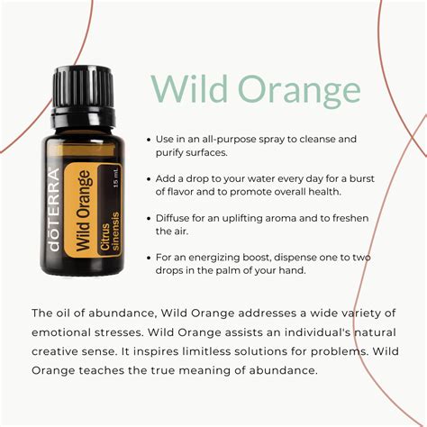 Wild Orange Essential Oil Benefits, Uses, & Sourcing with doTERRA | Co-Impact Sourcing Series