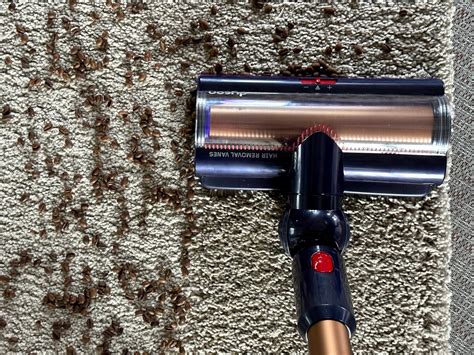 Dyson Gen5 Detect: Test des neuen Akku-Staubsaugers im Alltag - Business Insider