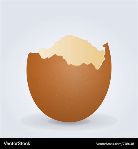 Broken egg shell Royalty Free Vector Image - VectorStock