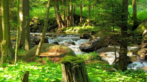 Gambar : pemandangan, alam, air terjun, gurun, kolam, aliran, rimba, pohon, tumbuh-tumbuhan ...