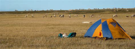 Arctic National Wildlife Refuge – Wilderness Birding Adventures