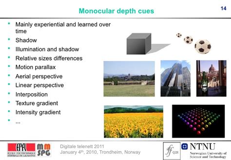 14 Monocular depth cues