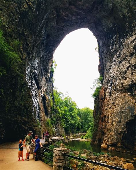 Jellystone Park - Natural Bridge | Real Life with Dad