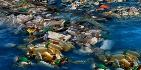 Environnement : Un continent de plastique dans l’Atlantique Nord. - Agriculture et maladies des ...