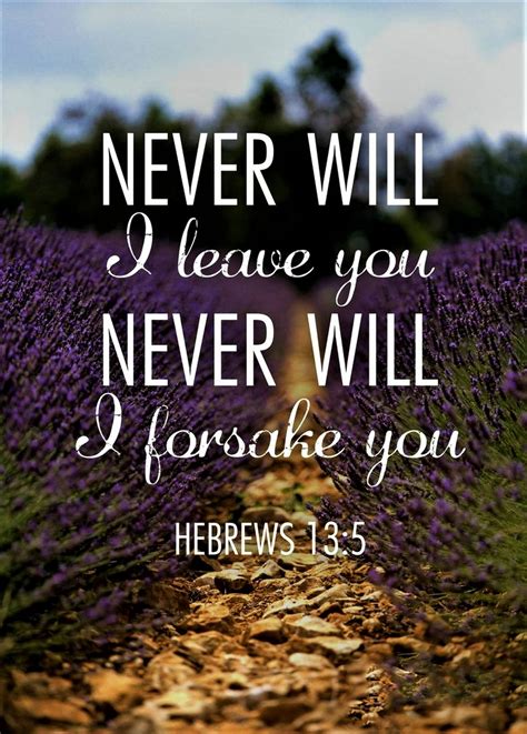 Hebrews 13:5