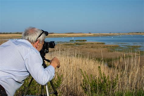 Bird Watching Pictures : Attention Bird Watching Enthusiasts | Bocorawasunari