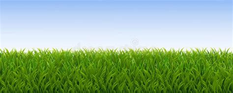 Grass Border and with White Background Stock Vector - Illustration of ...