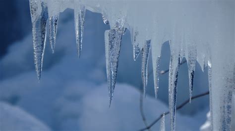 Free Images : water, branch, snow, cold, winter, frost, reflection ...