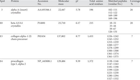 Protein identification by mass spectrometry | Download Table