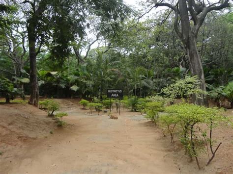 Park in Bangalore: Explore the Blooming Green Havens in the ‘City of Gardens’