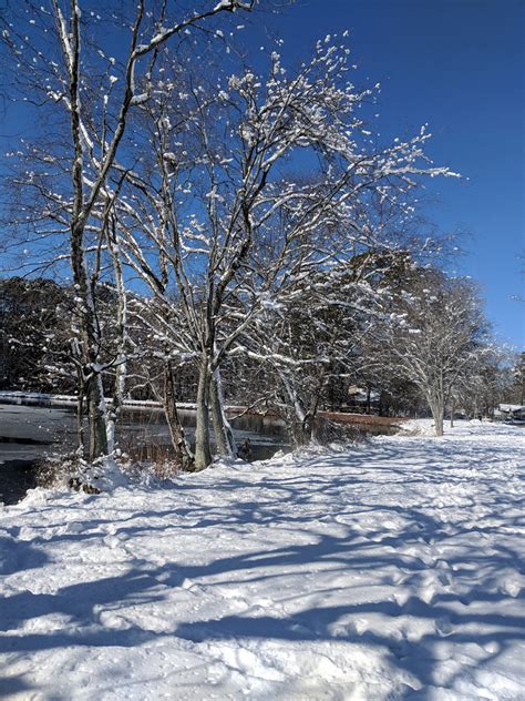 Trees Maynard Pond Snow Cary NC 140356 | Maker:L,Date:2017-8… | Flickr