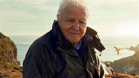 Inside Sir David Attenborough's dramatic new nature show which could be the 96 year-old's last ...