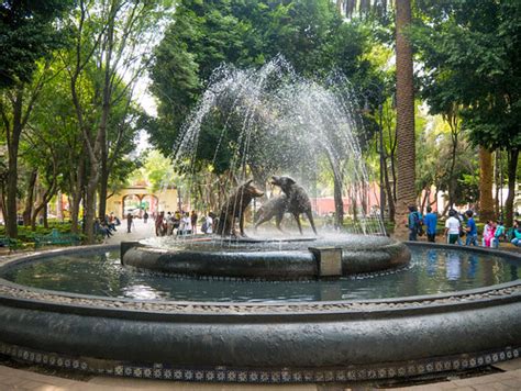 Coyotes Fountain in Zocalo de Coyoacán (square) | Coyotes Fo… | Flickr