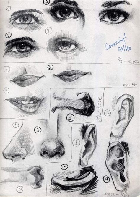 Facial Feature Drawings - MS CHANG'S ART CLASSES