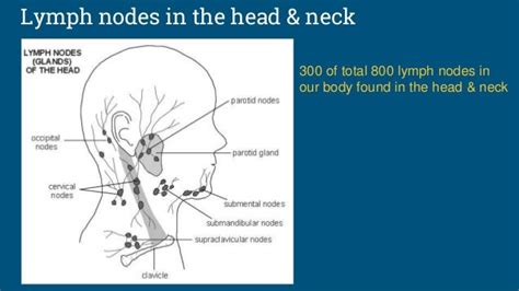 Soft tissue calcification in the neck