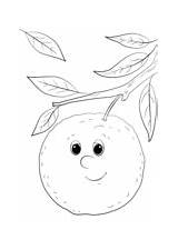 Oranges coloring Pages  Free Coloring sketch template