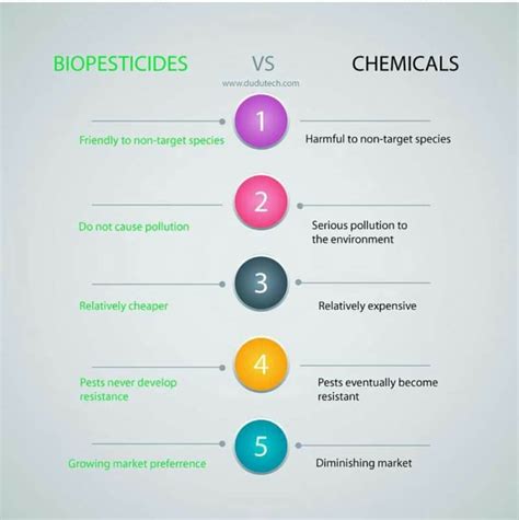 Chemical Pesticides Examples