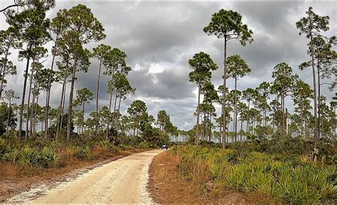 18 of the Best Adventures in Taylor County - Visit Natural North Florida