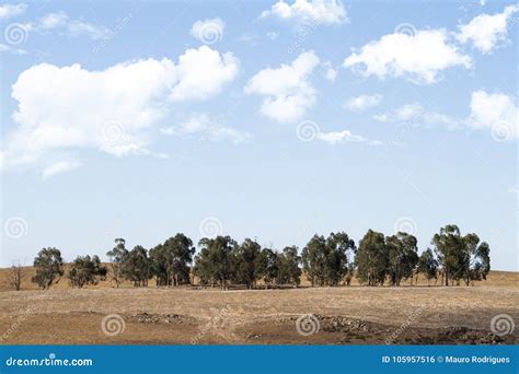 Alentejo landscape stock photo. Image of view, clouds - 105957516