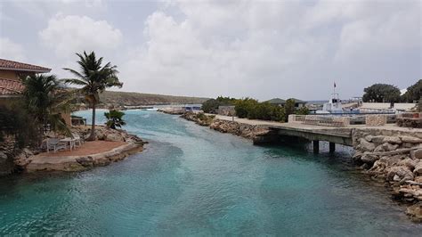 Curaçao Sea Aquarium in Willemstad - Tours and Activities | Expedia