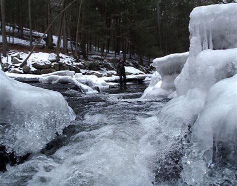 Yates to explain winter fly fishing - Nutmeg Chapter Trout Unlimited