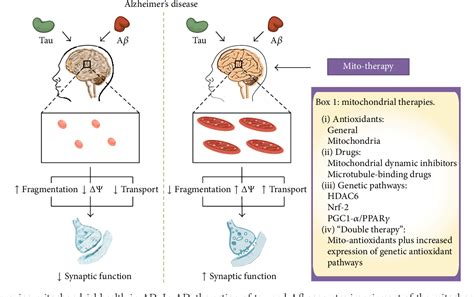 Figure 2 from Mitochondrial Dysfunction Contributes to the Pathogenesis ...