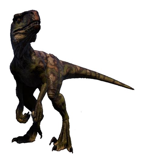 Atrociraptor | Jurassic World Speculative Evolution Wiki | Fandom