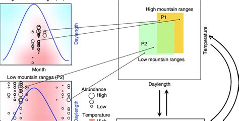 Photoperiodism; Thermal tolerance Functional trait: | Download Scientific Diagram