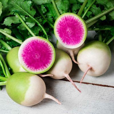 Pink Radish - DIY