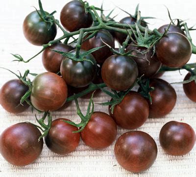 Black Cherry Tomato – Tomato Growers Supply Company