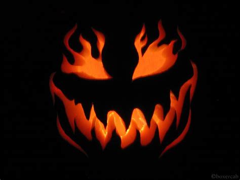 A favorite Halloween past-time involves carving up pumpkins into spooky faces or shapes, and ...