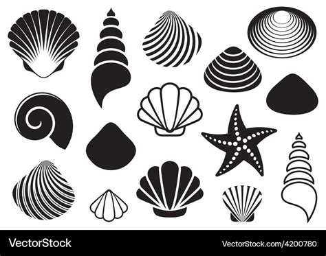 Sea shells and starfish Royalty Free Vector Image