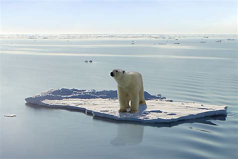 Climate Change in Polar Regions - Greenability Magazine