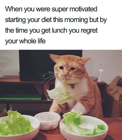 37 Weight Loss And Diet Memes You May Relate To A Little Too Much