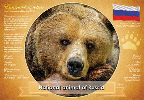 National Animal of Russia