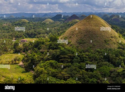 Geological formation The Chocolate Hills on Bohol island, Philippines ...