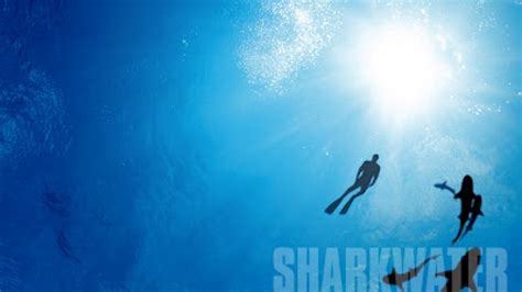 Sharkwater | Documentary Heaven